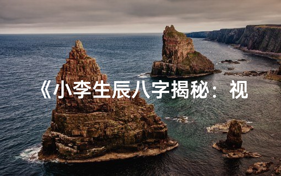 《小李生辰八字揭秘：视频大全集珍藏版》