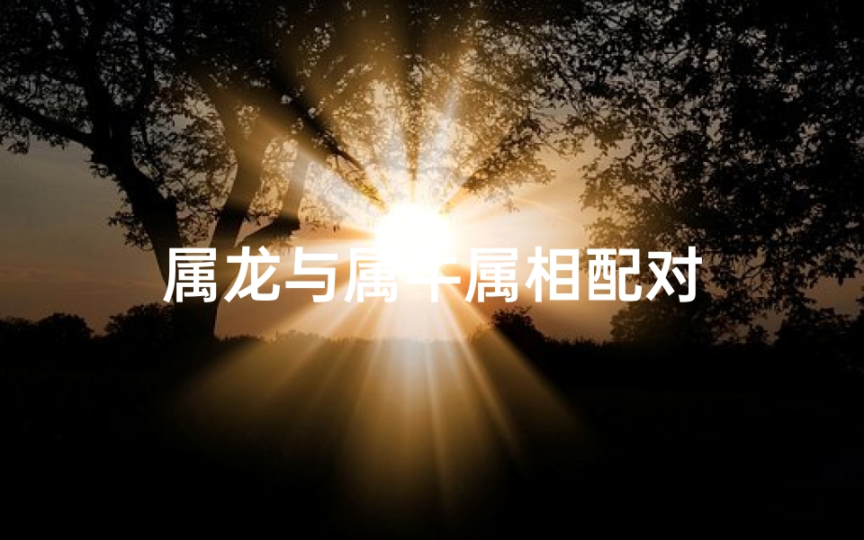 属龙与属牛属相配对