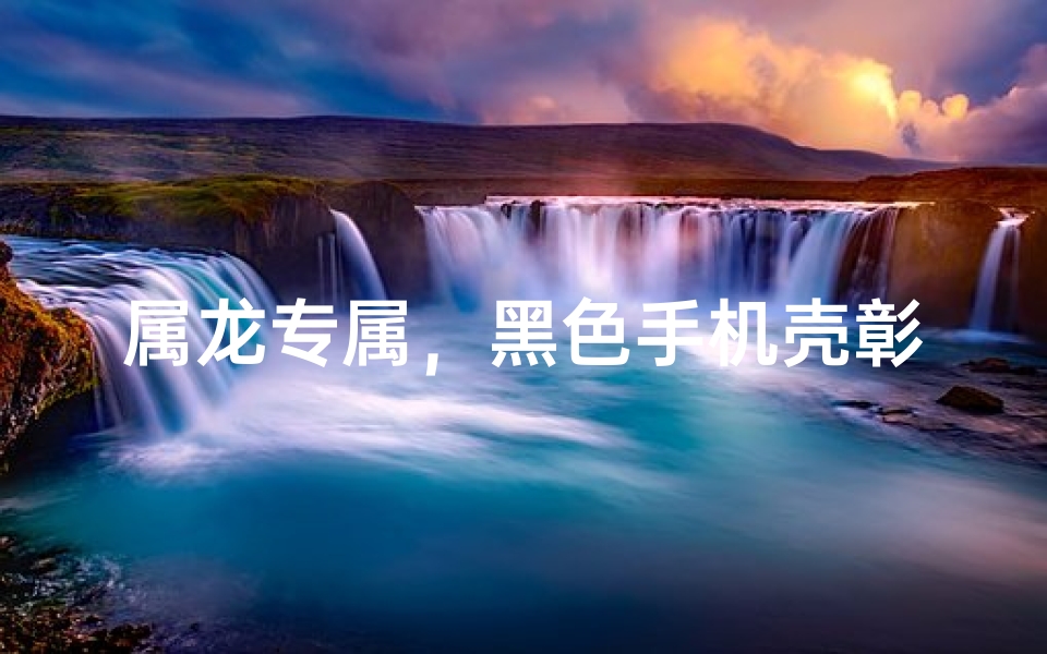 属龙专属，黑色手机壳彰显个性