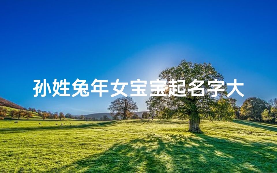 孙姓兔年女宝宝起名字大全