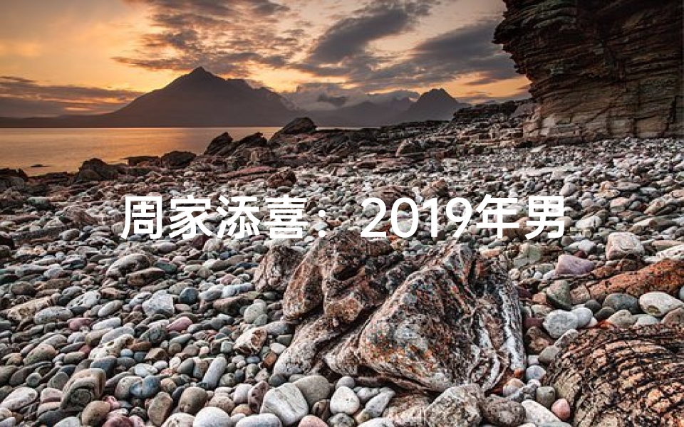 周家添喜：2019年男猪宝宝起名周XX新篇章