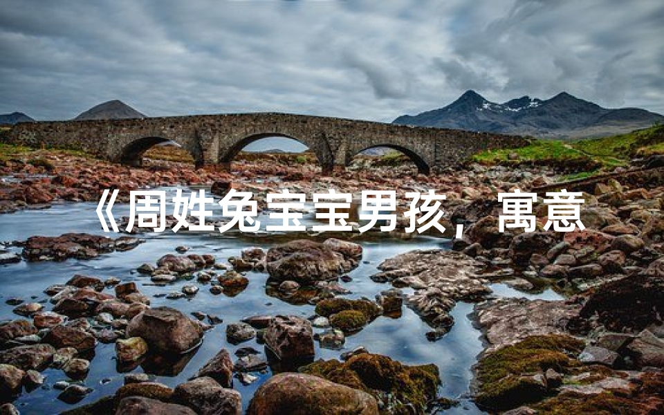 《周姓兔宝宝男孩，寓意吉祥的名字推荐》