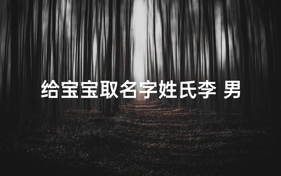 给宝宝取名字姓氏李 男孩_孩子起名姓李男孩
