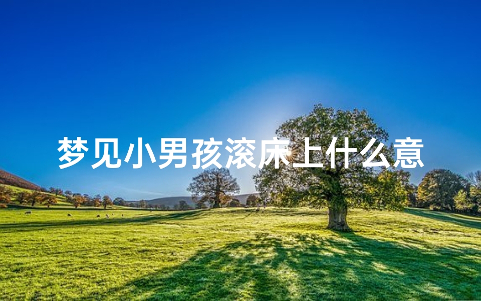 梦见小男孩滚床上什么意思、梦见小男孩在跑来跑去玩什么意思