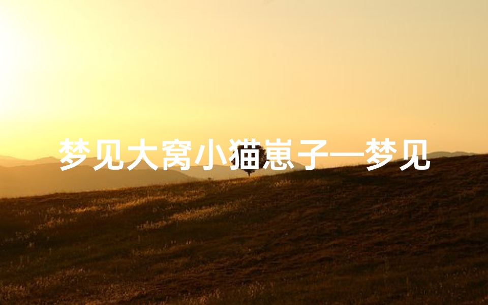 梦见大窝小猫崽子—梦见一大窝猫仔