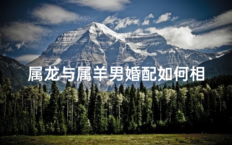 属龙与属羊男婚配如何相处呢_属龙属羊男婚配相处之道：和谐共融的秘诀