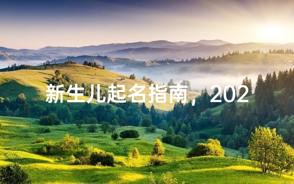 新生儿起名指南，2024最新宝宝取名技巧与寓意解析