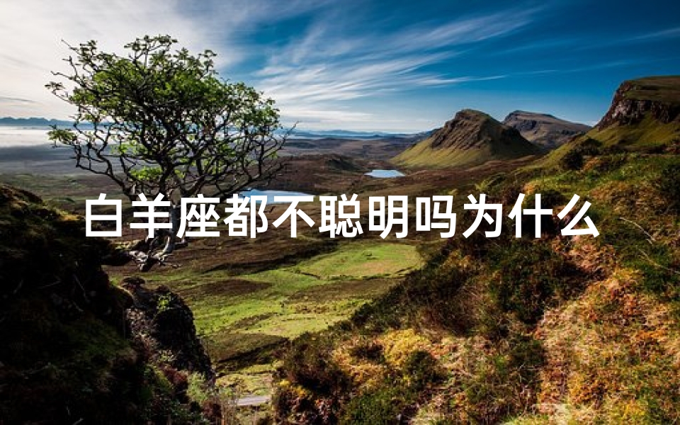 白羊座都不聪明吗为什么(白羊座真不聪明吗？揭秘智慧之谜)
