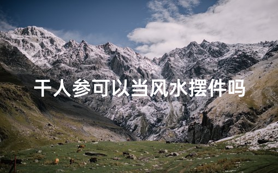 干人参可以当风水摆件吗