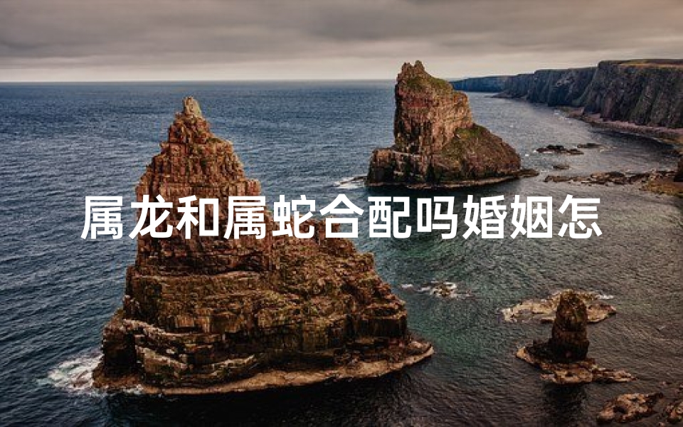 属龙和属蛇合配吗婚姻怎么样(属龙和属蛇相合不合)