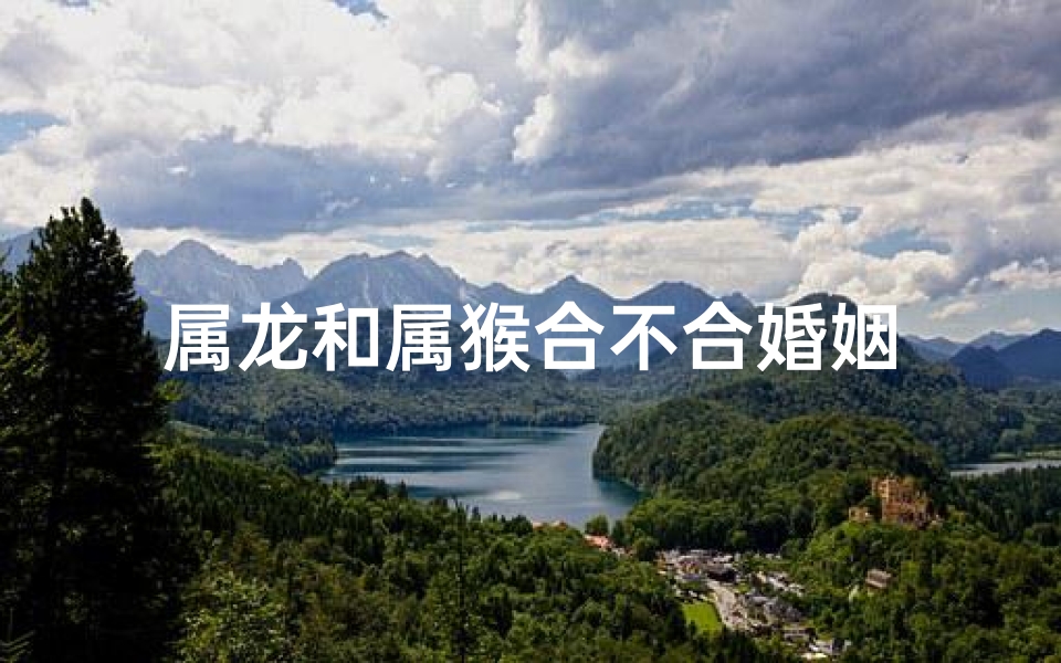 属龙和属猴合不合婚姻