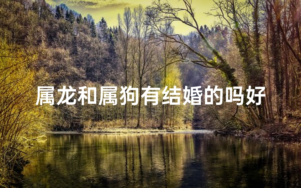 属龙和属狗有结婚的吗好吗,属龙的人和属狗的人能结婚吗