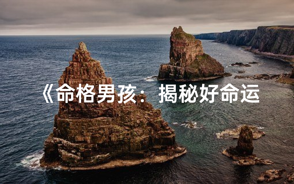《命格男孩：揭秘好命运的秘密》