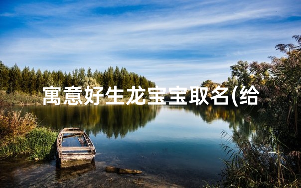 寓意好生龙宝宝取名(给龙宝宝取名字)