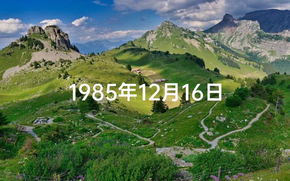1985年12月16日出生,《1985年12月16日命格：揭秘非凡命运之谜》
