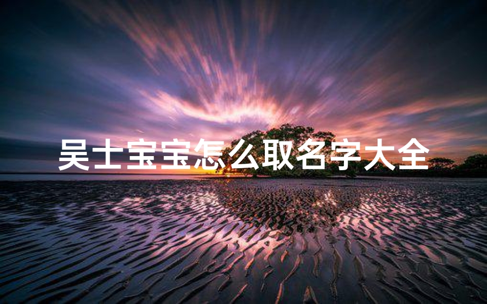 吴士宝宝怎么取名字大全(男孩姓吴有涵养的名字大全)