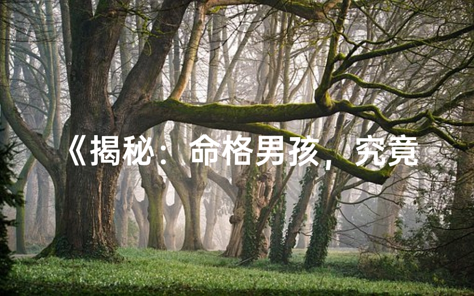 《揭秘：命格男孩，究竟拥有哪些神秘力量？》