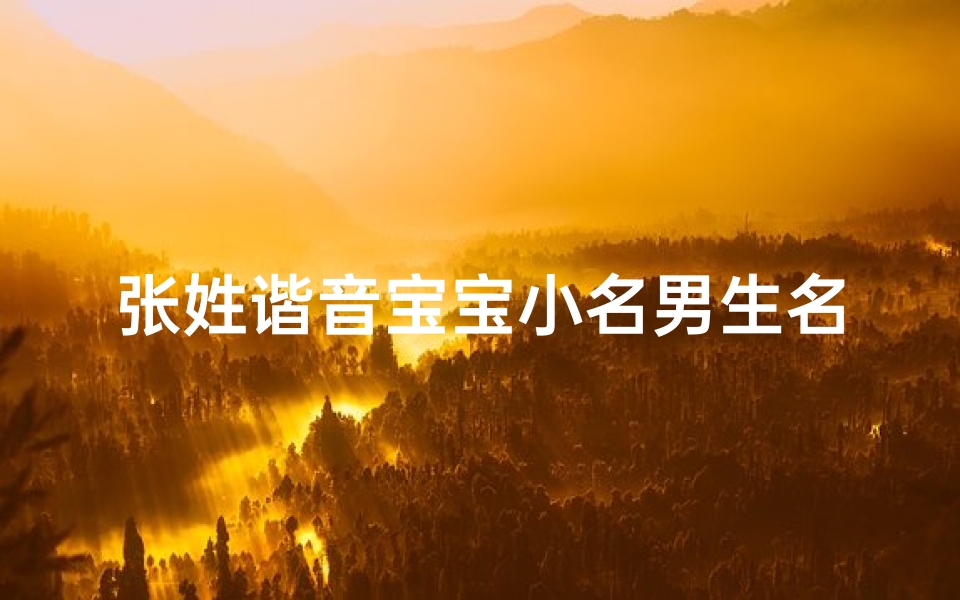 张姓谐音宝宝小名男生名字