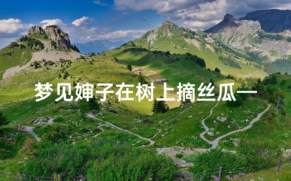 梦见婶子在树上摘丝瓜—梦见摘丝瓜是什么征兆
