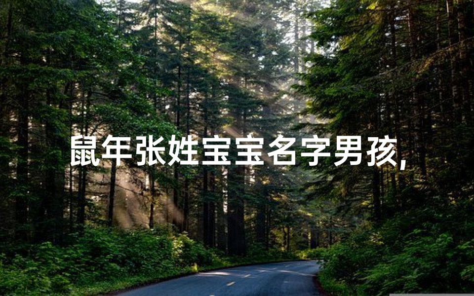 鼠年张姓宝宝名字男孩,鼠年张氏男宝宝取名