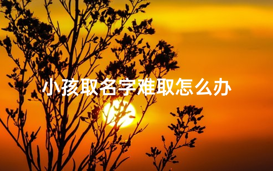 小孩取名字难取怎么办