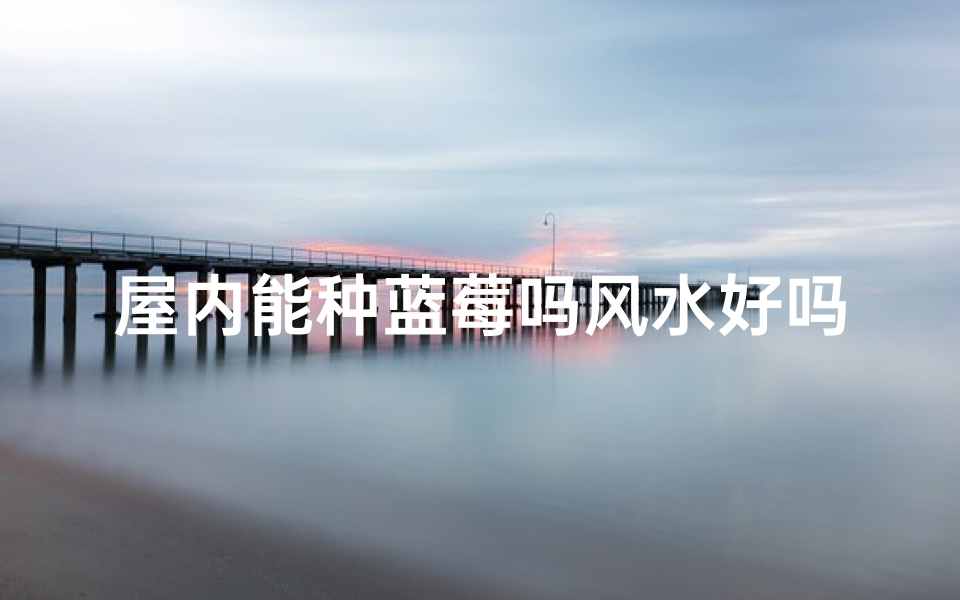 屋内能种蓝莓吗风水好吗-家里可以栽蓝莓树吗？