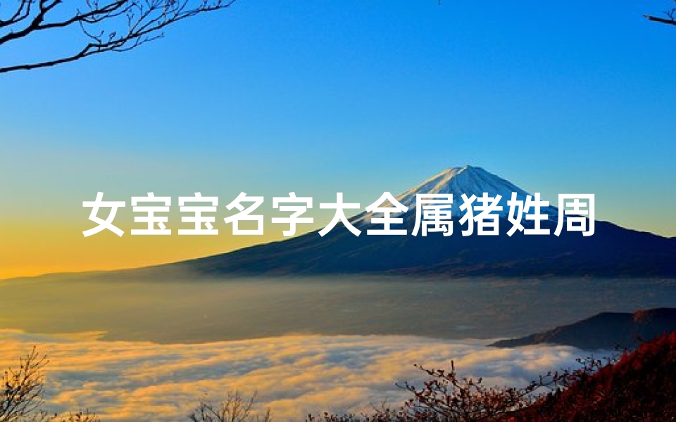女宝宝名字大全属猪姓周;好听的女宝宝名字属猪