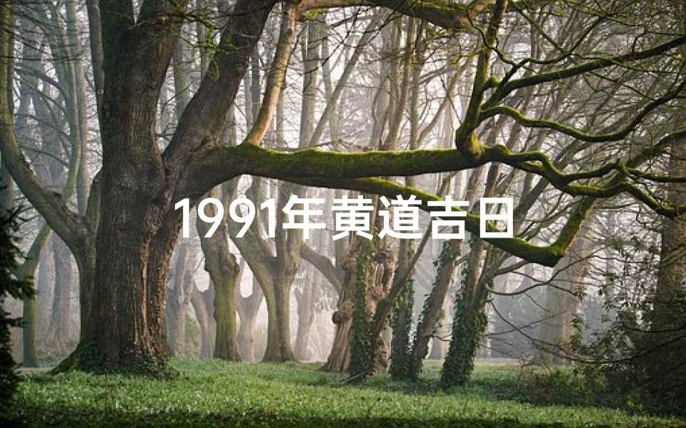 1991年黄道吉日