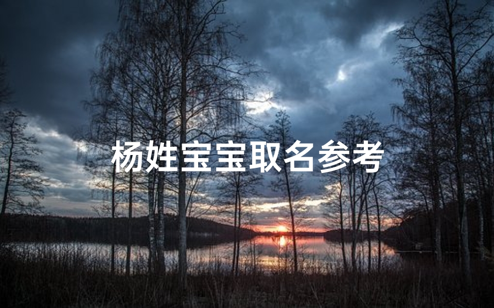 杨姓宝宝取名参考