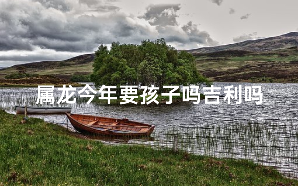 属龙今年要孩子吗吉利吗—属龙今年生育吉星高照？宜不宜要孩子？