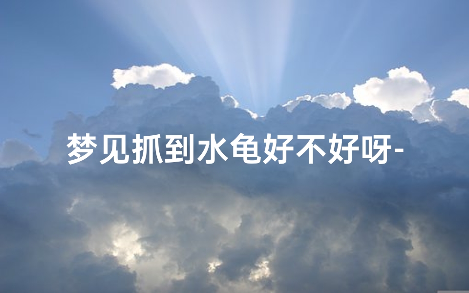 梦见抓到水龟好不好呀-梦见在水里逮到一只乌龟