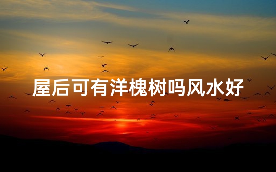 屋后可有洋槐树吗风水好吗