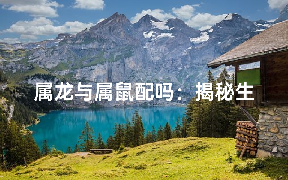 属龙与属鼠配吗：揭秘生肖相配之谜
