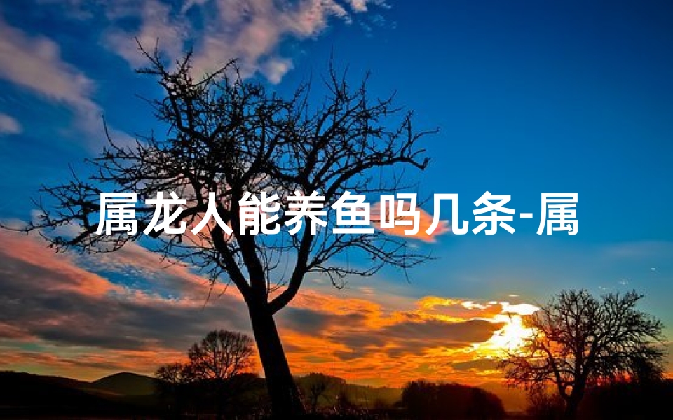 属龙人能养鱼吗几条-属龙的可以养鱼吗？