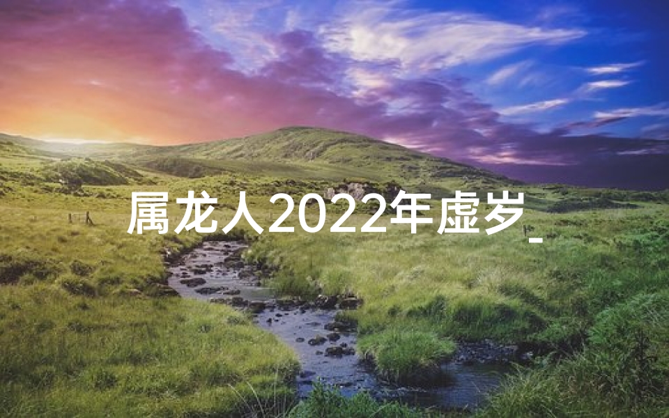 属龙人2022年虚岁_属龙人2021年虚岁多大
