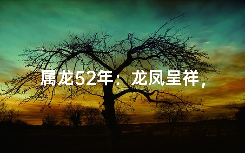 属龙52年：龙凤呈祥，佳偶天成