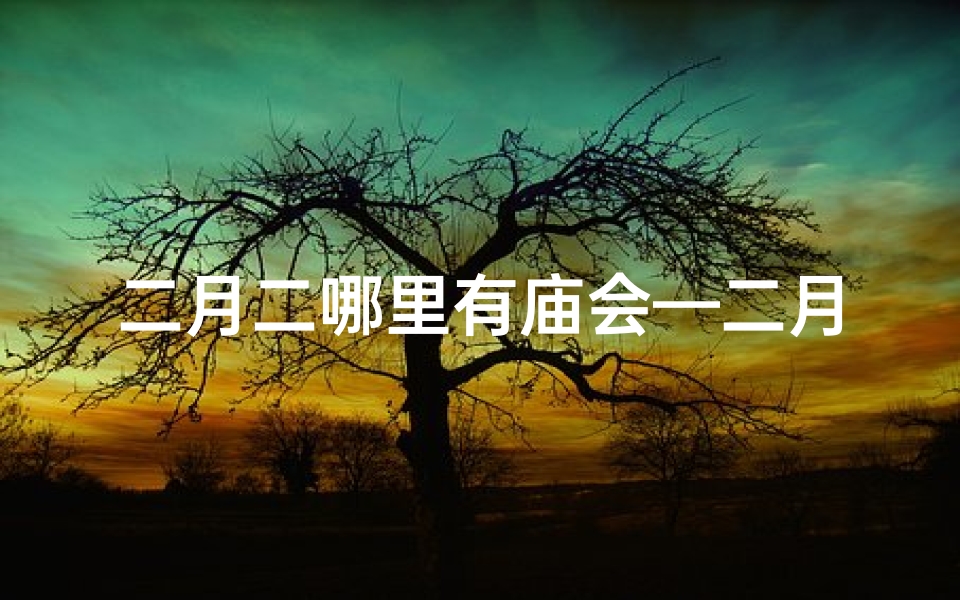 二月二哪里有庙会—二月二祈福圣地：探寻神秘寺庙之谜