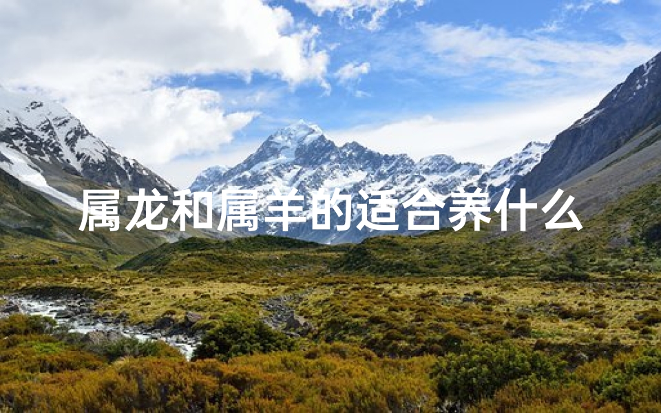 属龙和属羊的适合养什么花(属羊的适合养龙血树吗)