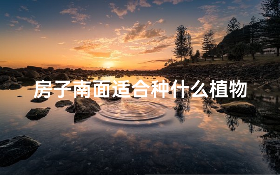 房子南面适合种什么植物;房子南边能栽树吗？风水解析与禁忌