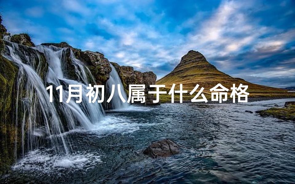 11月初八属于什么命格,11月初八生日好吗