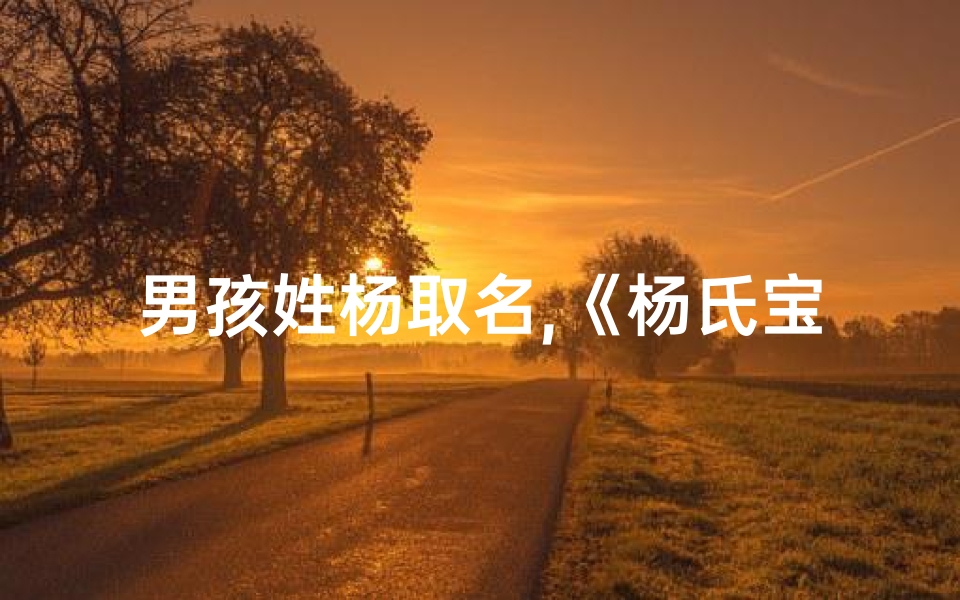 男孩姓杨取名,《杨氏宝宝，传承美好，寓意吉祥》