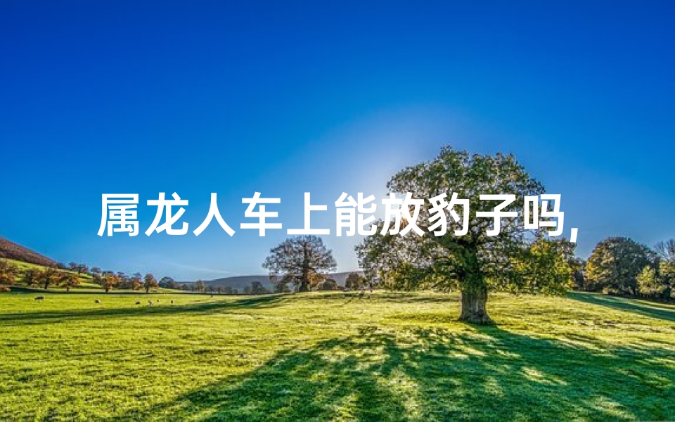 属龙人车上能放豹子吗,属龙人车上能放豹子吗？揭秘神奇生肖与神秘动物之谜