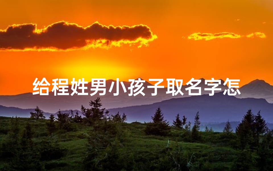 给程姓男小孩子取名字怎么取-《程姓男宝宝取名：如何挑选吉祥好名》