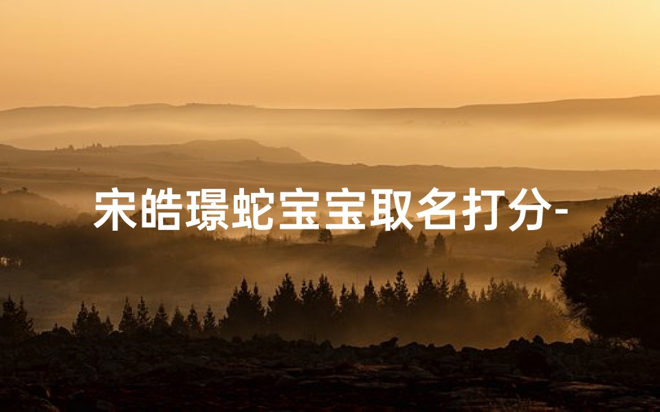 宋皓璟蛇宝宝取名打分-宋皓哲名字的含义