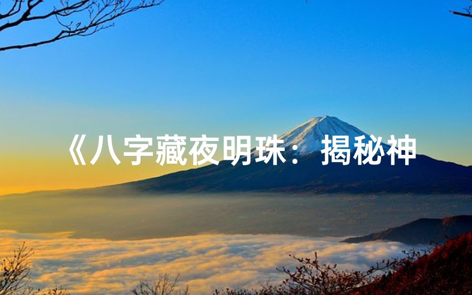 《八字藏夜明珠：揭秘神秘命理之谜》