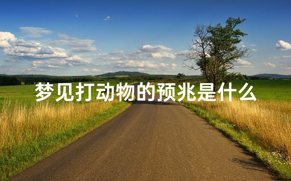 梦见打动物的预兆是什么—梦见打动物的预兆是什么意思