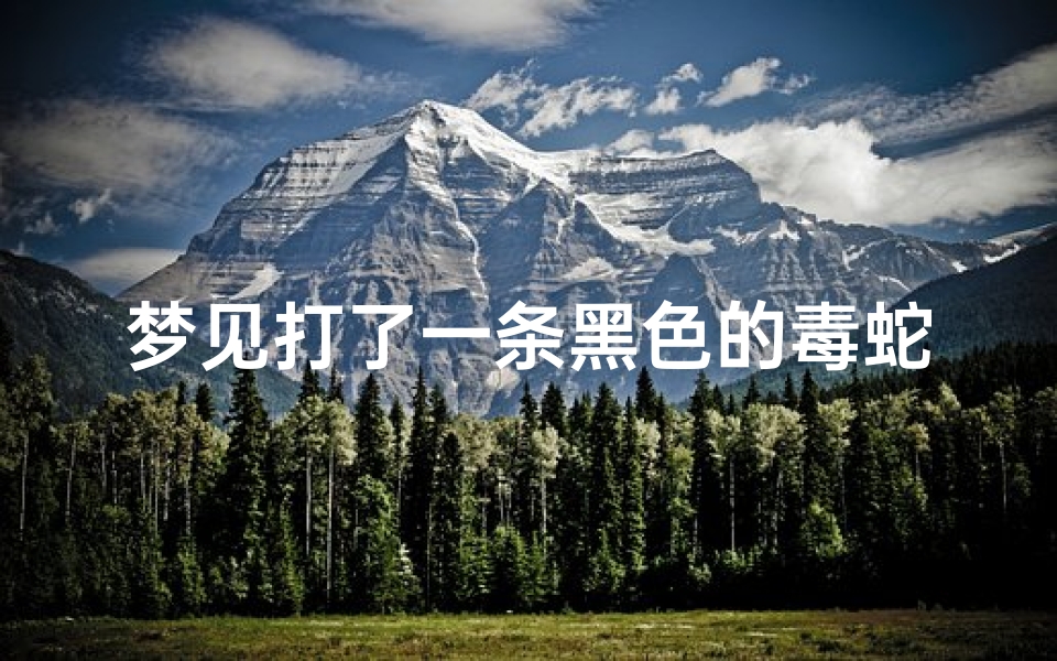 梦见打了一条黑色的毒蛇,做梦梦到打黑蛇
