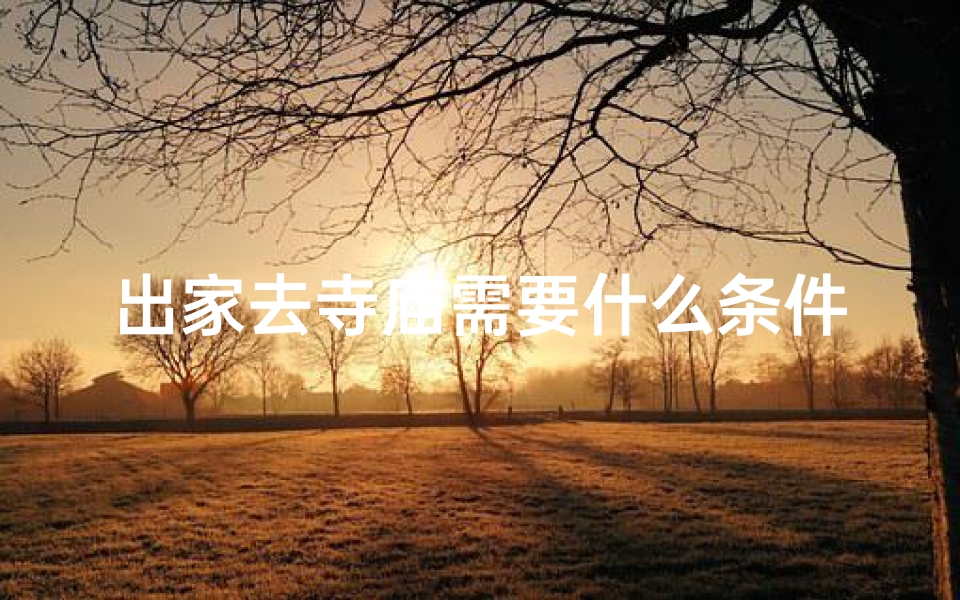出家去寺庙需要什么条件—《揭秘出家修行：走进寺庙的宁静生活》