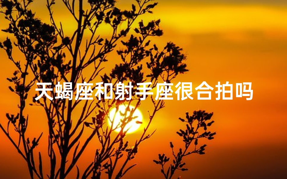 天蝎座和射手座很合拍吗—天蝎射手天生一对？揭秘合拍秘籍