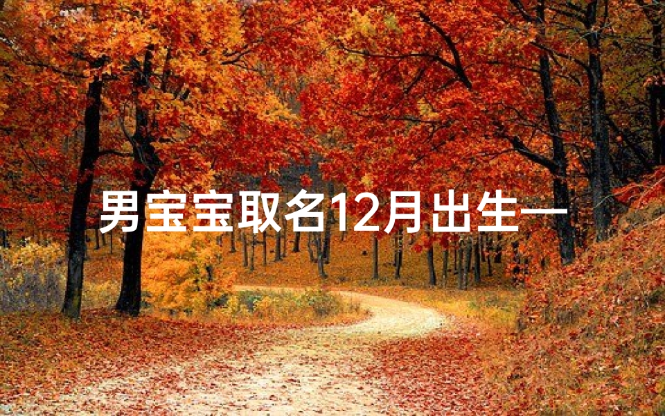 男宝宝取名12月出生—男宝宝取名12月出生的名字